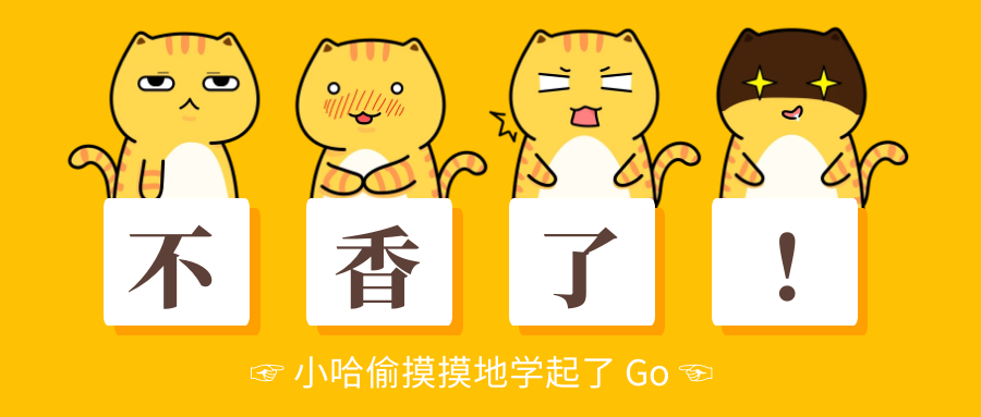 go（golang）语言入门教程